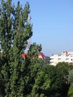 Blick auf den Funkturm