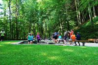 Erfrischung im Kneipp-Becken