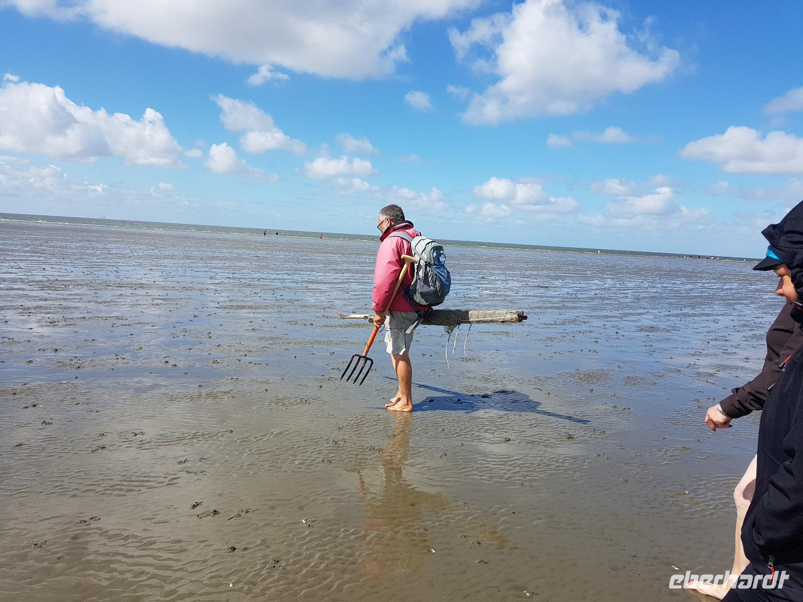 Büsum, Wattwanderung mit Bodo