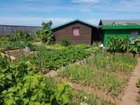 Helgoland, Mustergarten