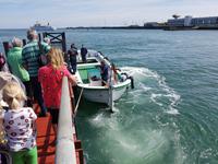 Helgoland, Börteboot
