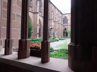 Mainzer Dom - Kreuzgang 