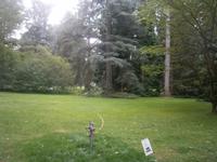 Schattige Plätze im Park