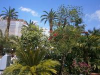 Tropische Pflanzen gedeihen hier prächtig