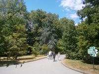 Viele schöne Wege führen durch den Park