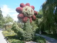 Ein beliebtes Fotomotiv der Insel