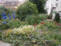 Blumenschmuck in der Nähe der Peterskirche