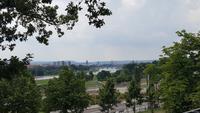 Blick vom Waldschlösschen auf Dresden
