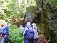Wanderung mit dem Revierförster auf dem Holzweg rund um Eisenach 