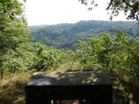 Wanderung mit dem Revierförster auf dem Holzweg rund um Eisenach 