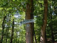 Wanderung zur Drachenschlucht