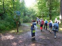 Wanderung auf dem Holzweg rund um Eisenach