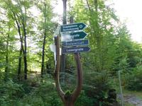Wanderung auf dem Holzweg rund um Eisenach