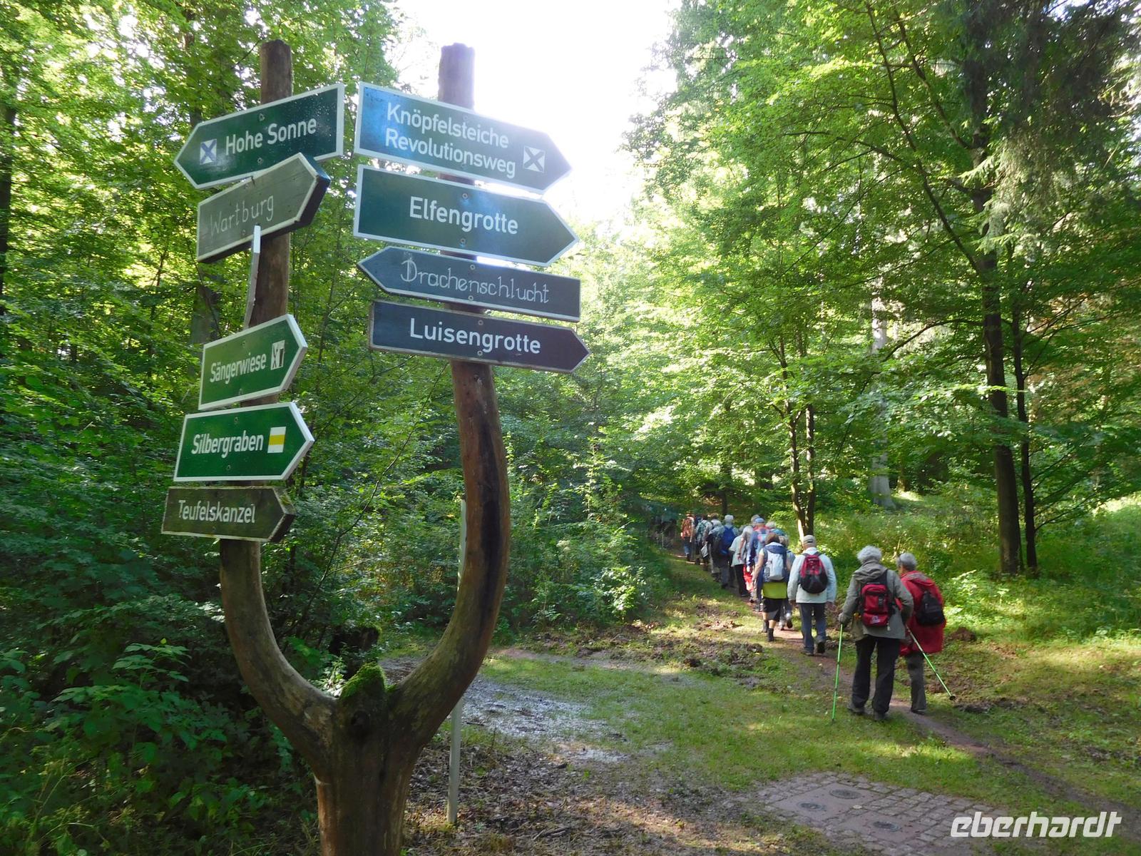 Wanderung auf dem Holzweg rund um Eisenach