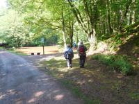 Wanderung auf dem Holzweg rund um Eisenach - zur Elfengrotte