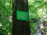 An der Elfengrotte bei Eisenach