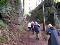Wanderung mit dem Revierförster auf dem Holzweg rund um Eisenach 