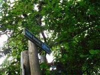 Wanderung mit dem Revierförster auf dem Holzweg rund um Eisenach 