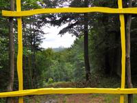 Wanderung auf dem Holzweg - Wartburg-Blick