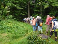 Wanderung mit dem Revierförster auf dem Holzweg rund um Eisenach 