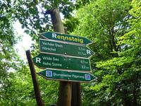 Rennsteig im Thüringer Wald bei Eisenach
