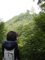 Wartburg-Blick bei der Wanderung auf dem Holzweg