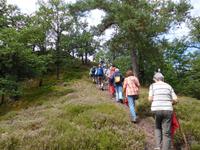 Wanderung mit dem Revierförster auf dem Holzweg rund um Eisenach 
