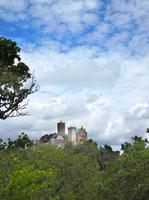 Wartburg-Blick bei der Wanderung auf dem Holzweg