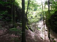 Wanderung an der Eliashöhle