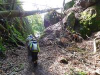 Wanderung an der Eliashöhle