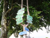 Wanderung zum Veilchenbrunnen im Thüringer Wald bei Oberhof