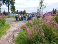 Wanderung zum Veilchenbrunnen im Thüringer Wald bei Oberhof