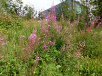 Wanderung zum Veilchenbrunnen im Thüringer Wald bei Oberhof