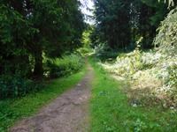 Wanderung zum Veilchenbrunnen im Thüringer Wald bei Oberhof