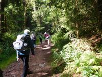 Wanderung zum Veilchenbrunnen im Thüringer Wald bei Oberhof