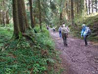 Wanderung zum Veilchenbrunnen im Thüringer Wald bei Oberhof