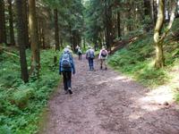 Wanderung zum Veilchenbrunnen im Thüringer Wald bei Oberhof