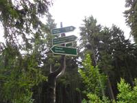 Wanderung zum Veilchenbrunnen im Thüringer Wald bei Oberhof