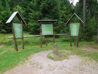 Stein 16 am Rennsteig bei Oberhof