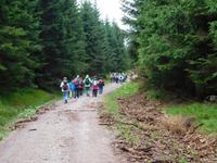 Wanderung zum Veilchenbrunnen im Thüringer Wald bei Oberhof