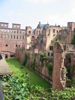 Blick zum  Schloss Heidelberg