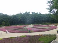 Heidegarten Schneverdingen