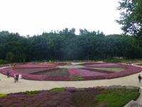 Heidegarten Schneverdingen