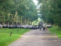 Schäferhof Neunkirchen