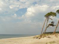 Darsser Weststrand 1