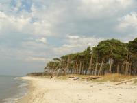Darsser Weststrand 2