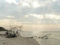 Darsser Weststrand 4
