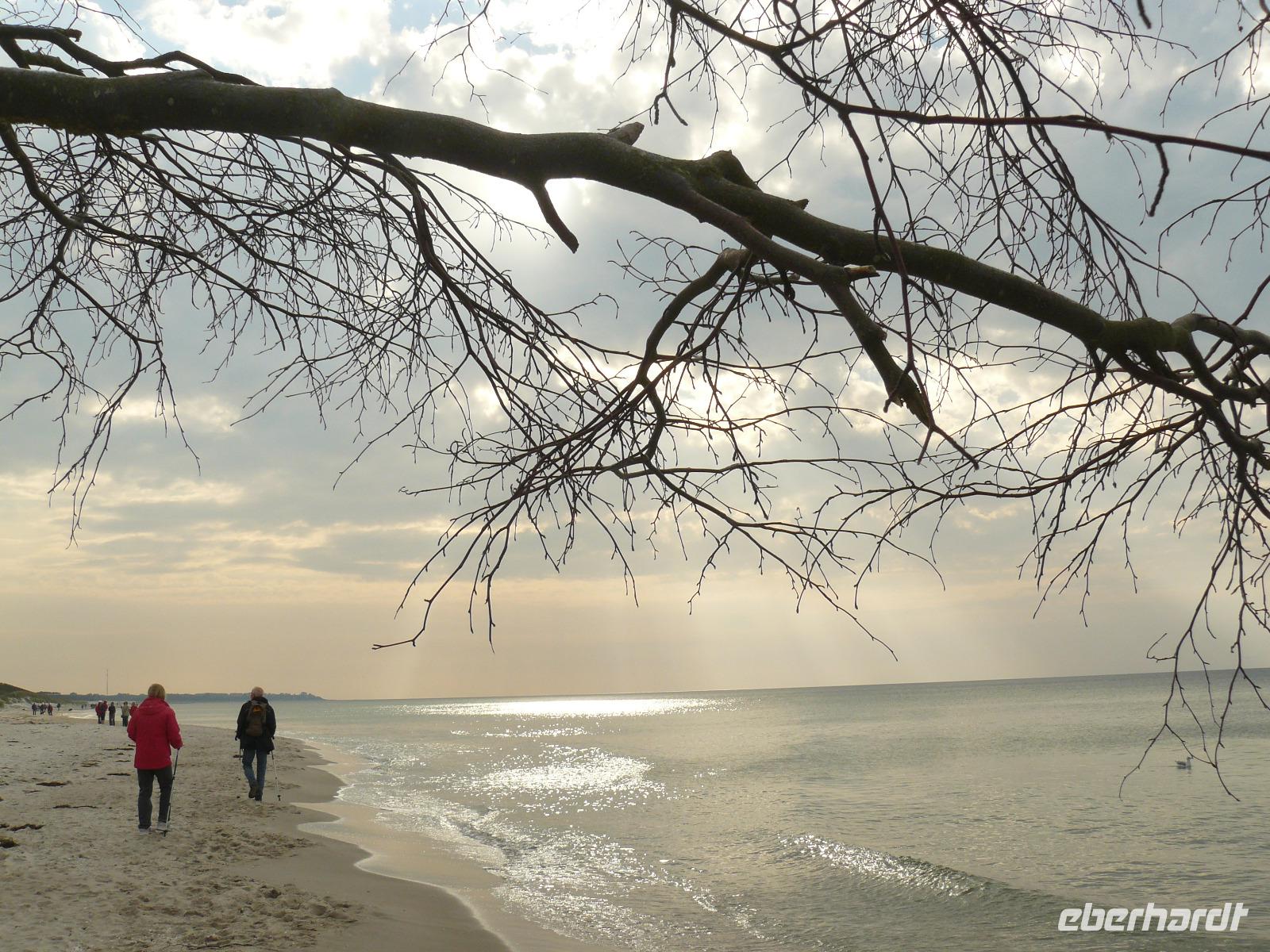 Darsser Weststrand 5