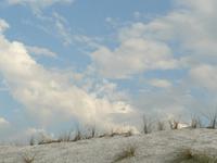 Darsser Weststrand 6