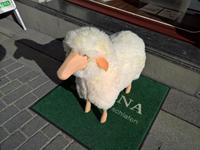 Überraschung   -   ein Schäfchen in der Einkaufsstrasse von St. Gallen.